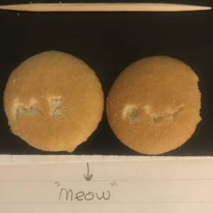 A wafer with 'Meow' carved into it